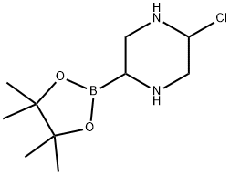 5-Chloropiperazine-2-boronic acid pinacol ester 结构式