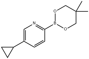 5-Cyclopropylpyridine-2-boronic acid neopentylglycol ester 结构式