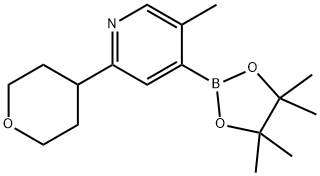 5-methyl-2-(tetrahydro-2H-pyran-4-yl)-4-(4,4,5,5-tetramethyl-1,3,2-dioxaborolan-2-yl)pyridine 结构式