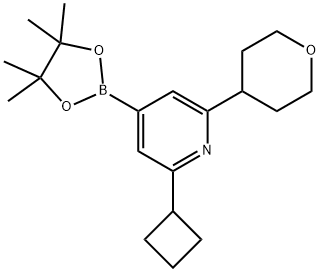 2-cyclobutyl-6-(tetrahydro-2H-pyran-4-yl)-4-(4,4,5,5-tetramethyl-1,3,2-dioxaborolan-2-yl)pyridine 结构式