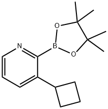 3-(Cyclobutyl)pyridine-2-boronic acid pinacol ester 结构式