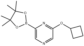 2-cyclobutoxy-6-(4,4,5,5-tetramethyl-1,3,2-dioxaborolan-2-yl)pyrazine 结构式