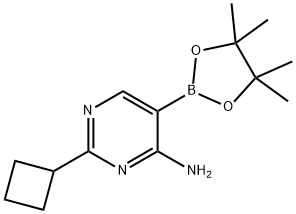 4-Amino-2-(cyclobutyll)pyrimidine-5-boronic acid pinacol ester 结构式