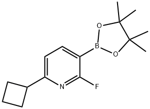 2-Fluoro-6-(cyclobutyl)pyridine-3-boronic acid pinacol ester 结构式