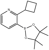 2-(Cyclobutyl)pyridine-3-boronic acid pinacol ester 结构式