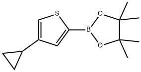 4-(Cyclopropyl)thiophene-2-boronic acid pinacol ester 结构式