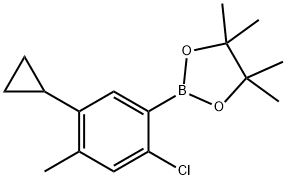 2-Chloro-4-methyl-5-cyclopropylphenylboronic acid pinacol ester 结构式