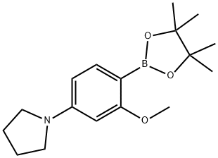 2-Methoxy-4-(pyrrolidino)phenylboronic acid pinacol ester 结构式