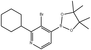 3-Bromo-2-(cyclohexyl)pyridine-4-boronic acid pinacol ester 结构式