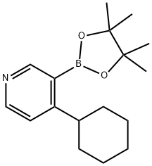 4-(Cyclohexyl)pyridine-3-boronic acid pinacol ester 结构式