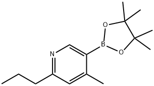 4-Methyl-6-(n-propyl)pyridine-3-boronic acid pinacol ester 结构式