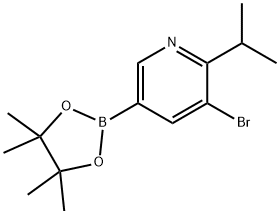 3-bromo-2-isopropyl-5-(4,4,5,5-tetramethyl-1,3,2-dioxaborolan-2-yl)pyridine 结构式