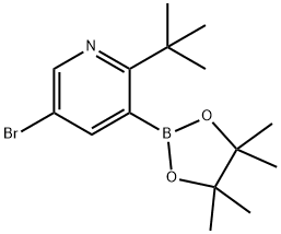 5-Bromo-2-(tert-butyl)pyridine-3-boronic acid pinacol ester 结构式