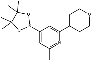 2-methyl-6-(tetrahydro-2H-pyran-4-yl)-4-(4,4,5,5-tetramethyl-1,3,2-dioxaborolan-2-yl)pyridine 结构式