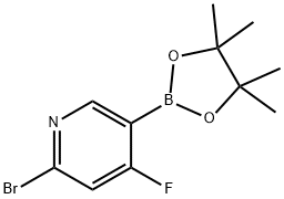 2-bromo-4-fluoro-5-(4,4,5,5-tetramethyl-1,3,2-dioxaborolan-2-yl)pyridine 结构式