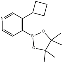 3-(Cyclobutyl)pyridine-4-boronic acid pinacol ester 结构式