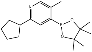 5-Methyl-2-(cyclopentyl)pyridine-4-boronic acid pinacol ester 结构式