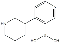 4-(Piperidin-3-yl)pyridine-3-boronic acid 结构式
