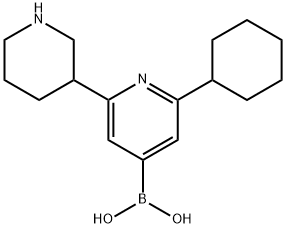 2-Cyclohexyl-6-(piperidin-3-yl)pyridine-4-boronic acid 结构式