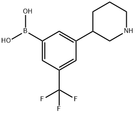 3-(Piperidin-3-yl)-5-trifluoromethylphenylboronic acid 结构式