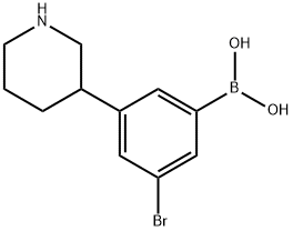 3-(Piperidin-3-yl)-5-bromophenylboronic acid 结构式