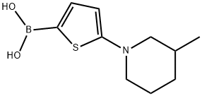 (5-(3-甲基哌啶-1-基)噻吩-2-基)硼酸 结构式