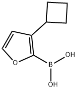 3-(Cyclobutyl)furan-2-boronic acid 结构式