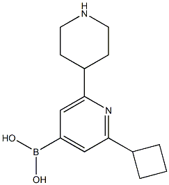 2-Cyclobutyl-6-(piperidin-4-yl)pyridine-4-boronic acid 结构式