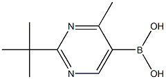 4-Methyl-2-(tert-butyl)pyrimidine-5-boronic acid 结构式