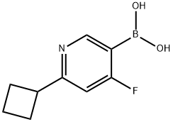 4-Fluoro-2-(cyclobutyl)pyridine-5-boronic acid 结构式