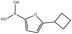 5-(Cyclobutyl)furan-2-boronic acid 结构式