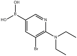5-Bromo-6-(diethylamino)pyridine-3-boronic acid 结构式