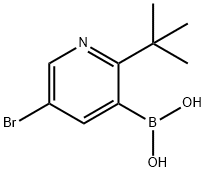 5-Bromo-2-(tert-butyl)pyridine-3-boronic acid 结构式