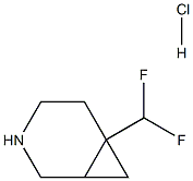 6-(二氟甲基)-3-氮杂双环[4.1.0]庚烷盐酸盐 结构式