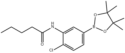 4-氯-3-(戊酰胺基)苯硼酸频哪醇酯 结构式