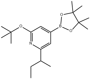 2-(tert-butoxy)-6-(sec-butyl)-4-(4,4,5,5-tetramethyl-1,3,2-dioxaborolan-2-yl)pyridine 结构式