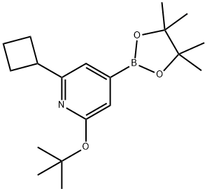 2-(tert-butoxy)-6-cyclobutyl-4-(4,4,5,5-tetramethyl-1,3,2-dioxaborolan-2-yl)pyridine 结构式