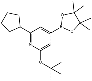 2-(tert-butoxy)-6-cyclopentyl-4-(4,4,5,5-tetramethyl-1,3,2-dioxaborolan-2-yl)pyridine 结构式