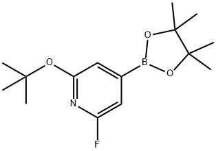 2-(tert-butoxy)-6-fluoro-4-(4,4,5,5-tetramethyl-1,3,2-dioxaborolan-2-yl)pyridine 结构式