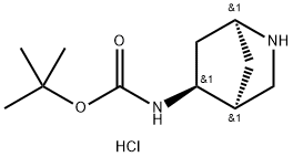 1S,4S,5S-(2-Aza-bicyclo[2.2.1]hept-5-yl)-carbamic acid tert-butyl ester hydrochloride 结构式
