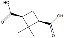 cis-2,2-dimethyl-1,3-cyclobutanedicarboxylic acid 结构式