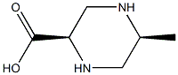 (2R,5S)-5-methylpiperazine-2-carboxylic acid 结构式