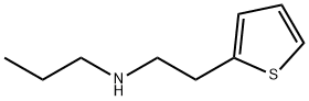 丙基[2-(噻吩-2-基)乙基]胺 结构式