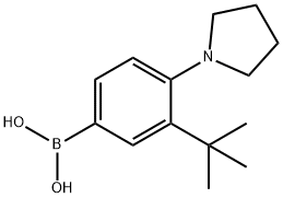 BORONIC ACID, B-[3-(1,1-DIMETHYLETHYL)-4-(1-PYRROLIDINYL)PHENYL]- 结构式