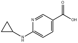 6-(环丙基氨基)吡啶-3-羧酸 结构式