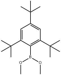 二甲氧基(2,4,6-三叔丁基苯基)甲硼烷 结构式