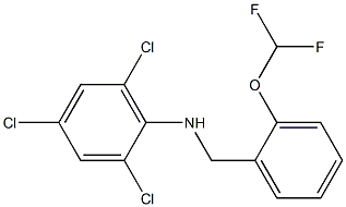 2,4,6-trichloro-N-{[2-(difluoromethoxy)phenyl]methyl}aniline 结构式