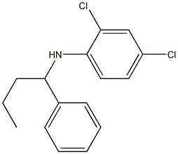 2,4-dichloro-N-(1-phenylbutyl)aniline 结构式