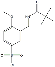 3-[(2,2-dimethylpropanamido)methyl]-4-methoxybenzene-1-sulfonyl chloride 结构式