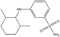 3-[(2,6-dimethylcyclohexyl)amino]benzene-1-sulfonamide 结构式